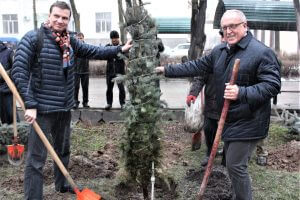 Гости из Российской Федерации посадили ели на аллее КГМА