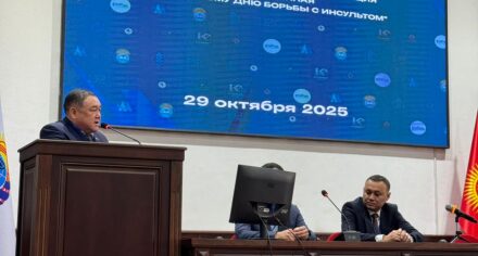 IV ежегодная научно-практическая конференция, посвящённая Всемирному дню борьбы с инсультом